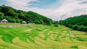 ランド ビュー / 16