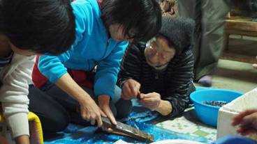 ランド ビュー / 11