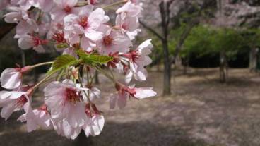 シティ ビュー / 35