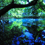 【東北】心を浄化してくれる、美しき青の絶景。自然豊かな癒しスポット5選