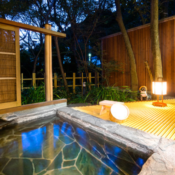 全室に源泉かけ流しの露天風呂付き4062423