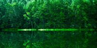 幻想的な世界に浸れる！長野県の絶景・御射鹿池