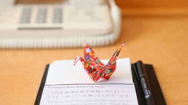 内装の詳細 / 16