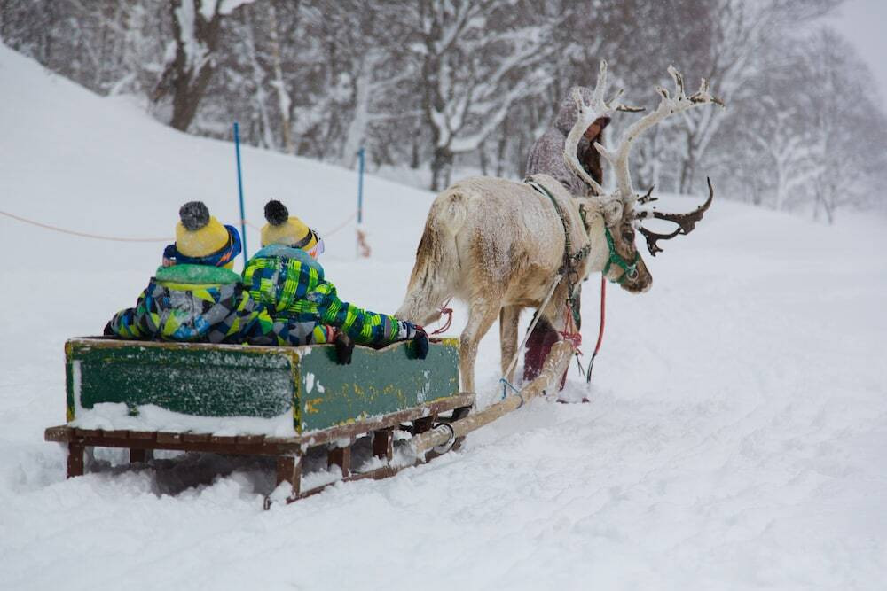 スノー スポーツとスキー