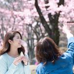 萩の月LOVER必見♡花見とセットで楽しむ「菓匠三全 工場直売所」