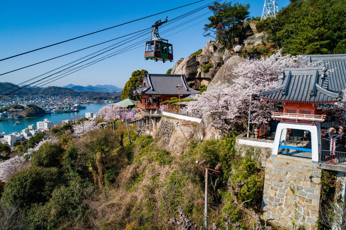 断崖に建つ「千光寺」