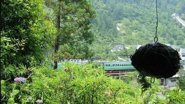 施設からの眺望 / 12