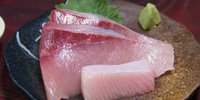 富山の冬に欠かせないご馳走！寒ブリの美味しいお店5選