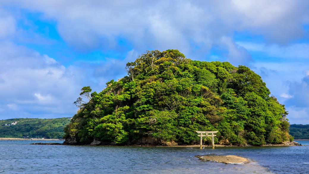 干潮の時にだけ現れる小島神社 / 1