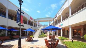 観光スポット / 12