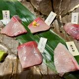 魚師匠（ブリショウ）