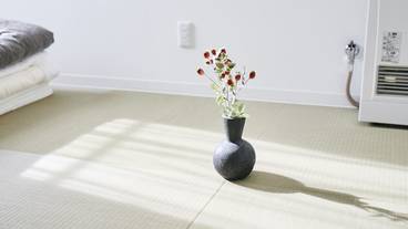 内装の詳細 / 15