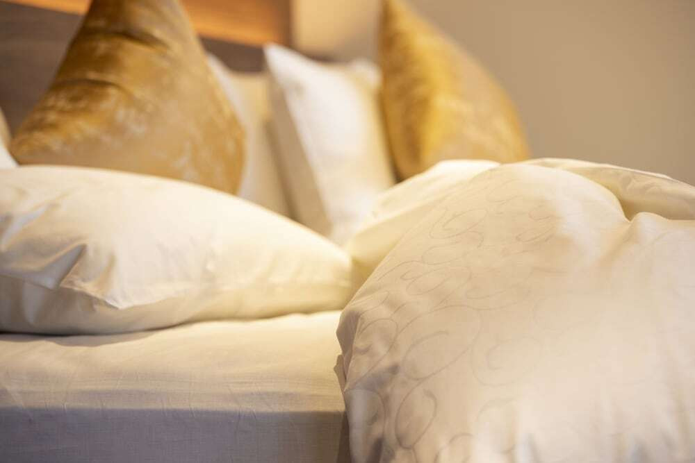 客室の設備とサービス