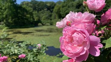 ルゼ ヴィラ（ルゼ ヴィラ） / 2