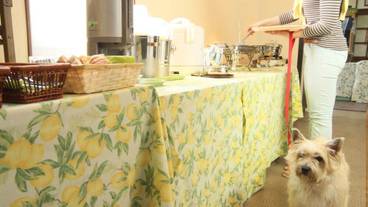 朝食スペース / 9