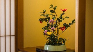 デラックス ルーム 禁煙