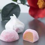 姫路はおいしいがいっぱい！姫路旅行で買いたいお土産おすすめ10選