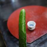 ぽんしゅ館 唎き酒番所 新潟驛店(ポンシュカンキキザケバンショ)