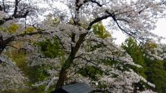 赤城高原温泉 山屋 蒼月