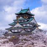 城と桜のコラボが素敵！今年の春は大阪城で桜を楽しみましょう