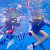 グランディオーソ沖縄プールヴィラ 恩納6（沖縄県 別荘・ヴィラ・コンドミニアム） / 3