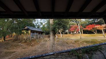 パーク ビュー / 30