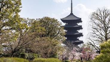 施設からの眺望 / 11