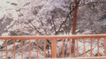 部屋からの景観 / 22