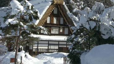 観光スポット / 11