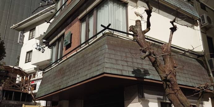 旅館 江泉（りょかん こうせん）（奈良県 旅館） / 1