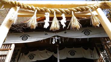 シティ ビュー / 8