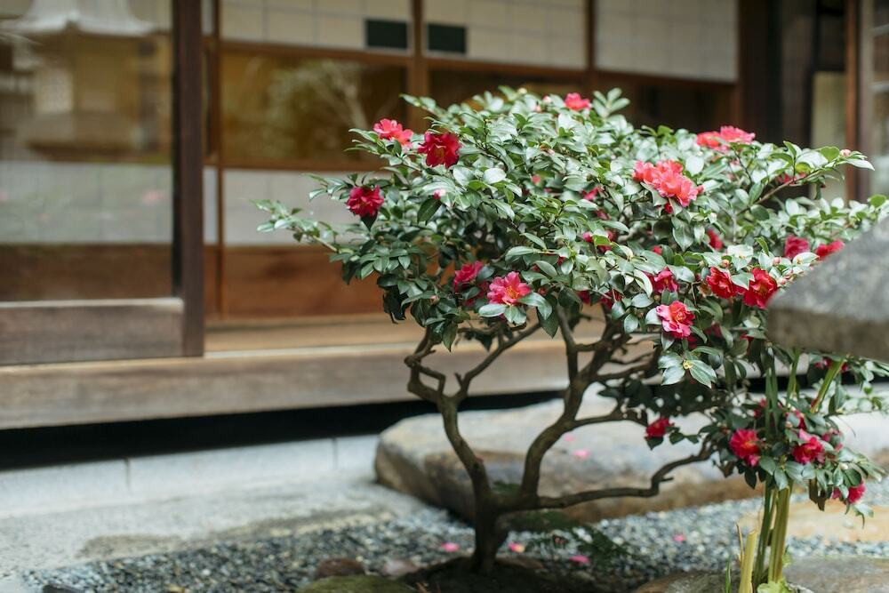庭園