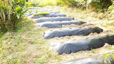 施設の敷地 / 10