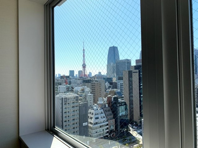 部屋から小さ～く見える東京タワー