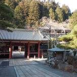 高野山で宿坊体験！写経・瞑想・精進料理で心と体のデトックス