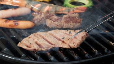 バーベキュー / ピクニック エリア / 20