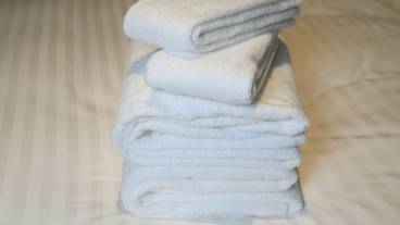 客室の設備とサービス / 24