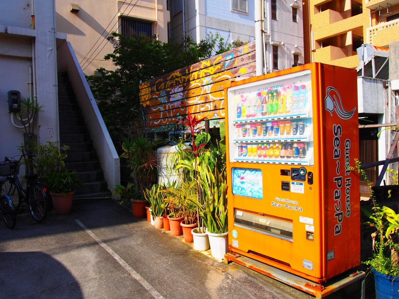 4.Ｓｅａ～ＰａっＰａ（沖縄）4083296