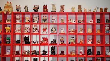 観光スポット / 11