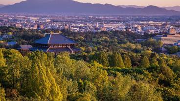 施設からの眺望 / 12