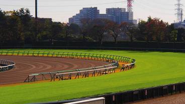 観光スポット / 10