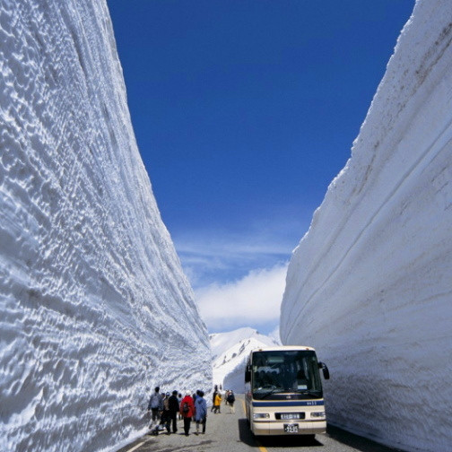 4月中旬から6月中旬の室堂