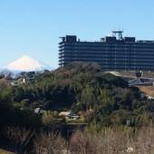 京急EXイン 横須賀リサーチパーク(旧:ホテルYRP)(神奈川県 ビジネスホテル) / 3
