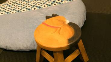 施設内の設備 / 2