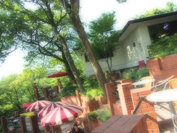 「樹ガーデン」その他 5051 