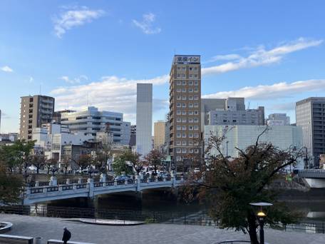 東横イン広島駅前大橋南 / 1