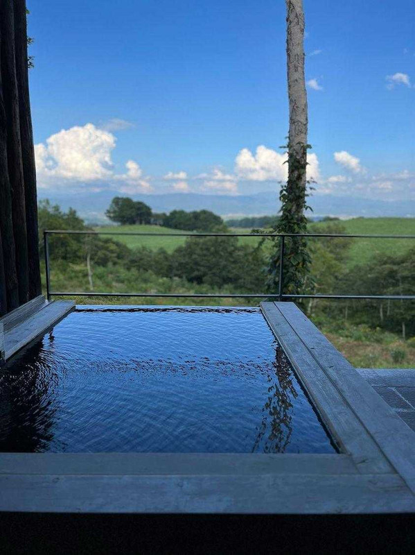 lapeony.parisさんの写真 / 1