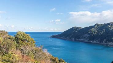 ビーチ / オーシャン ビュー / 8