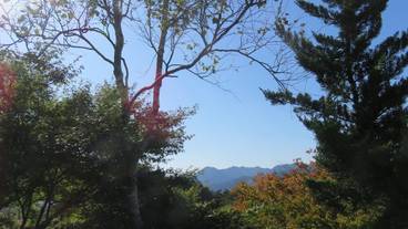 施設からの眺望 / 14