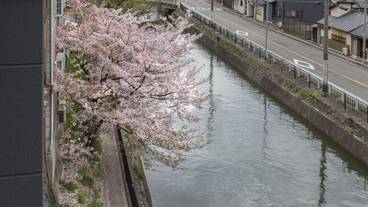 部屋からの景観 / 22